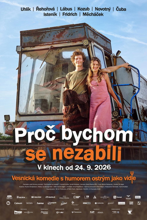 Proč bychom se nezabili poster