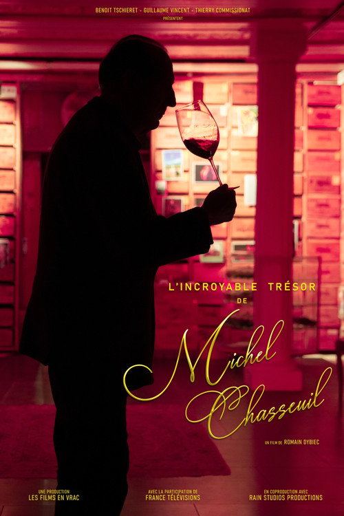 L'Incroyable Trésor de Michel Chasseuil poster