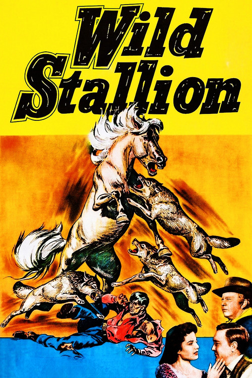 Wild Stallion poster