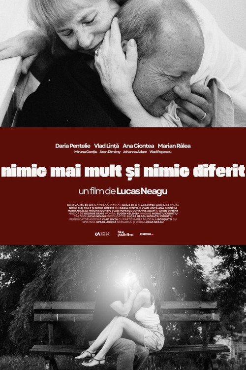 Nothing more and nothing different poster