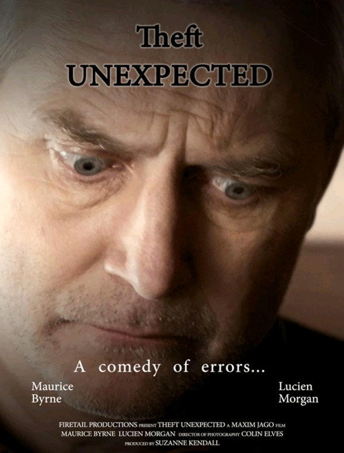 Theft Unexpected poster