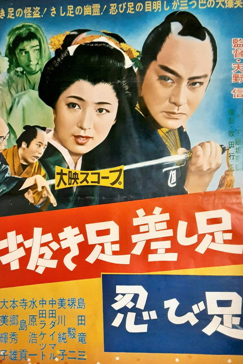 Nuki ashi sashi ashi shinobi ashi poster