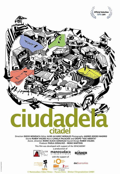 Citadel poster