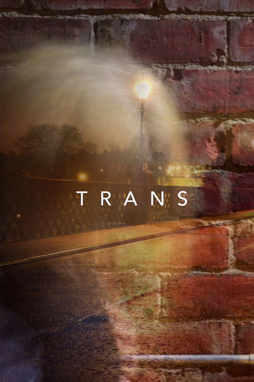 Trans poster