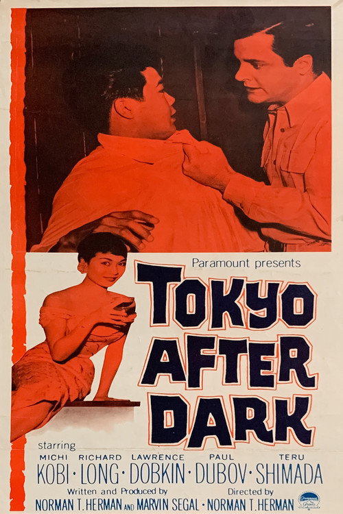 Tokyo After Dark poster