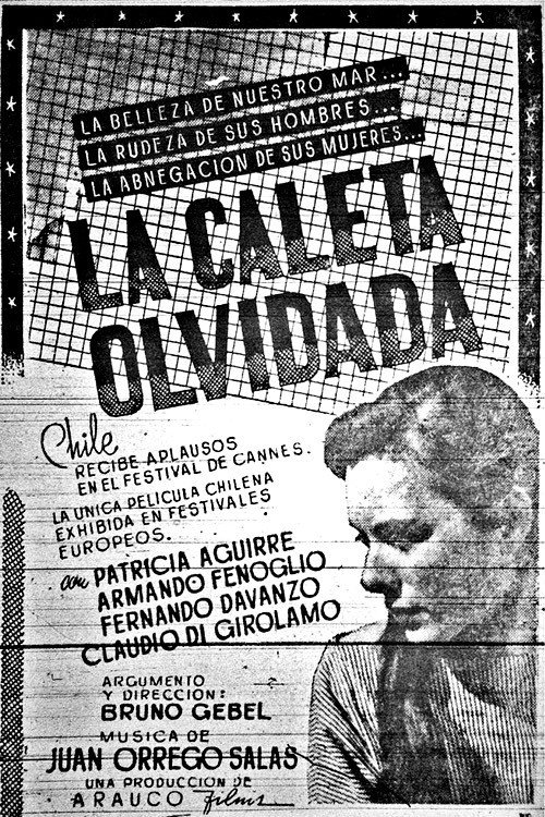La caleta olvidada poster