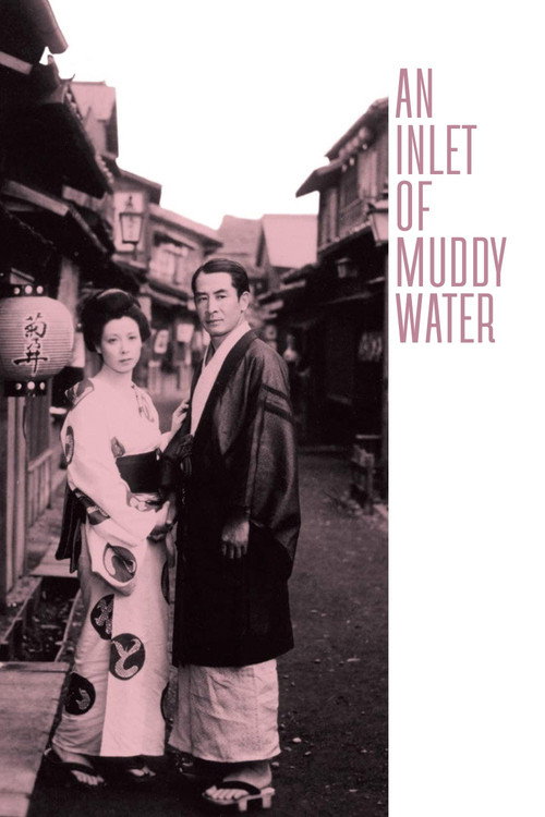 An Inlet of Muddy Water poster
