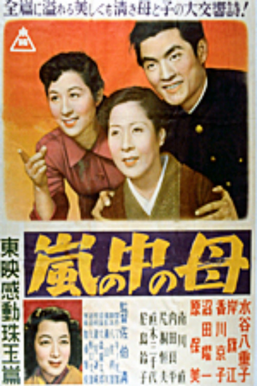 Man in the Storm poster
