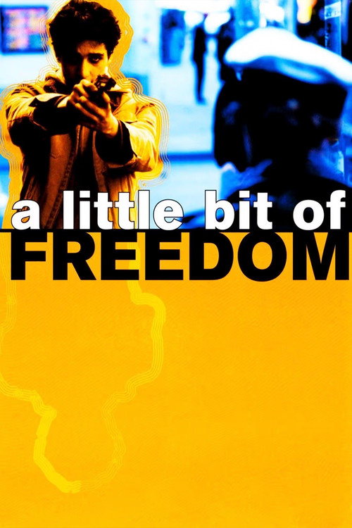 A Little Bit of Freedom poster