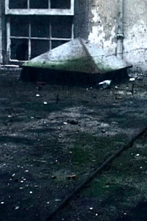 Remains poster