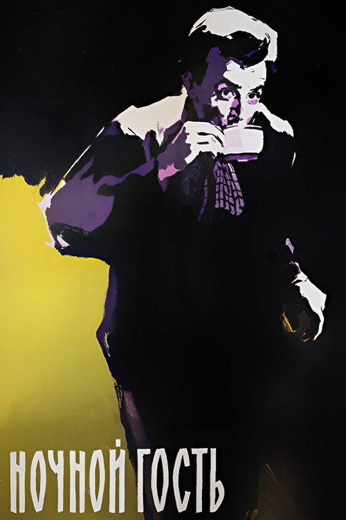 The Night Guest poster