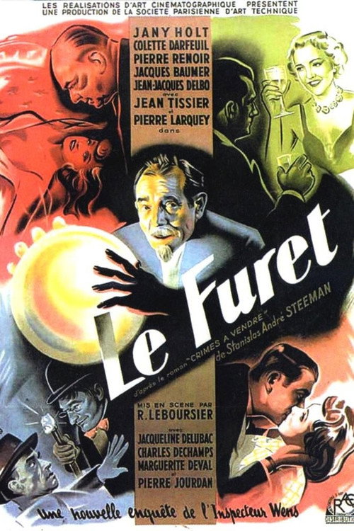 The Ferret poster