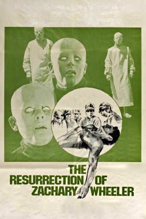 The Resurrection of Zachary Wheeler poster
