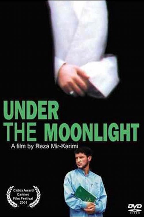 Under the Moonlight poster