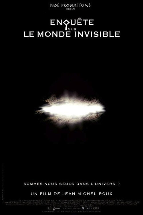 Investigation Into the Invisible World poster