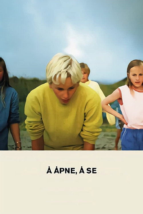 To Open, to See poster