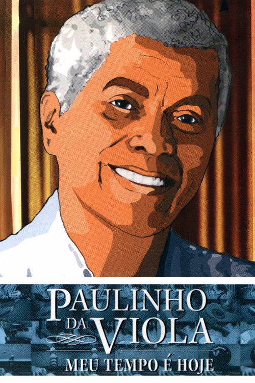 Paulinho da Viola: Meu Tempo É Hoje poster