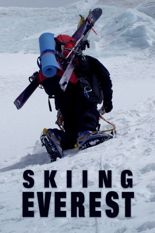 Skiing Everest poster