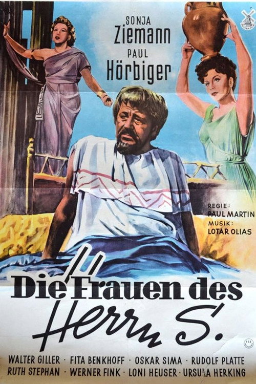 The Women of Mr. S. poster