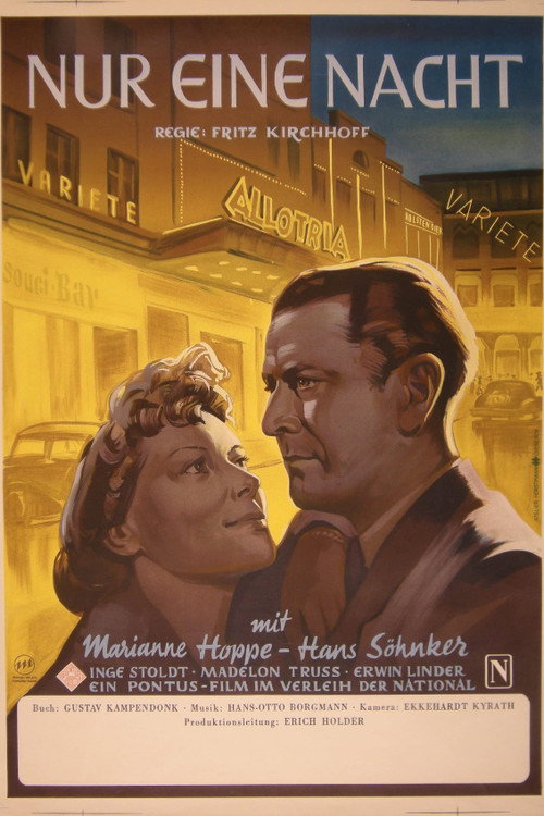 Nur eine Nacht poster