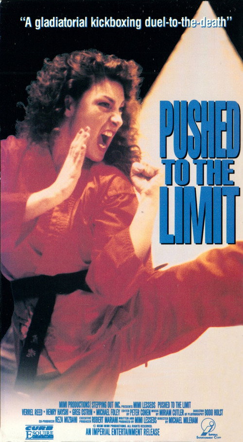 Pushed to the Limit poster