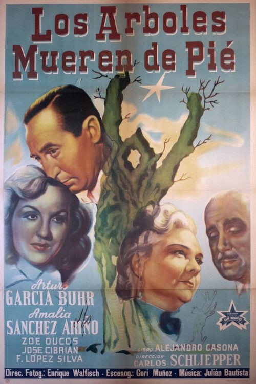 Trees Die Standing poster