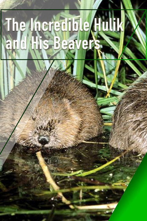 The Incredible Hulik and His Beavers poster