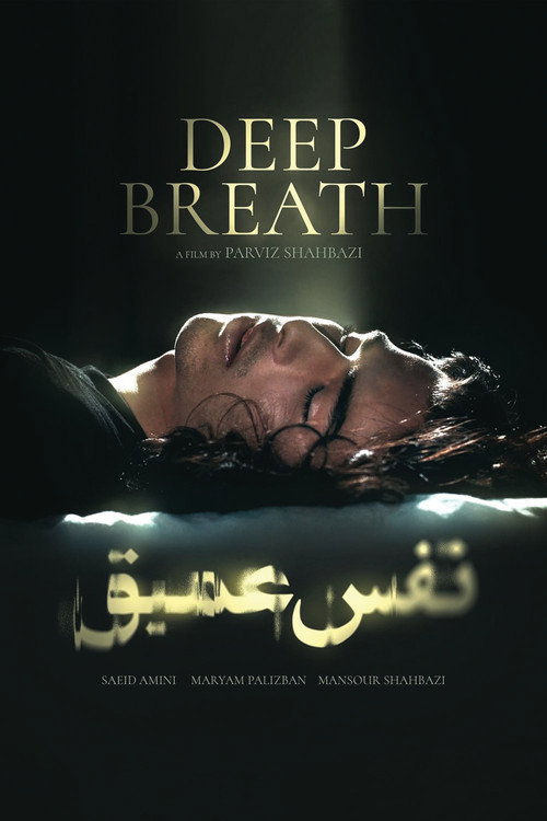 Deep Breath poster