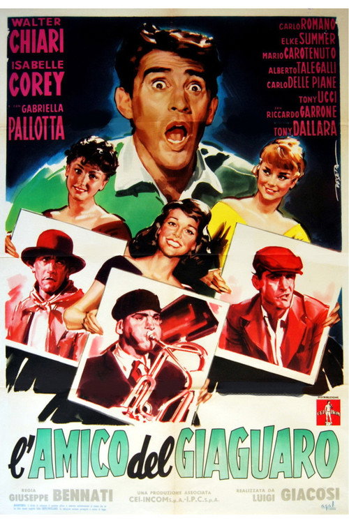 L'amico del giaguaro poster