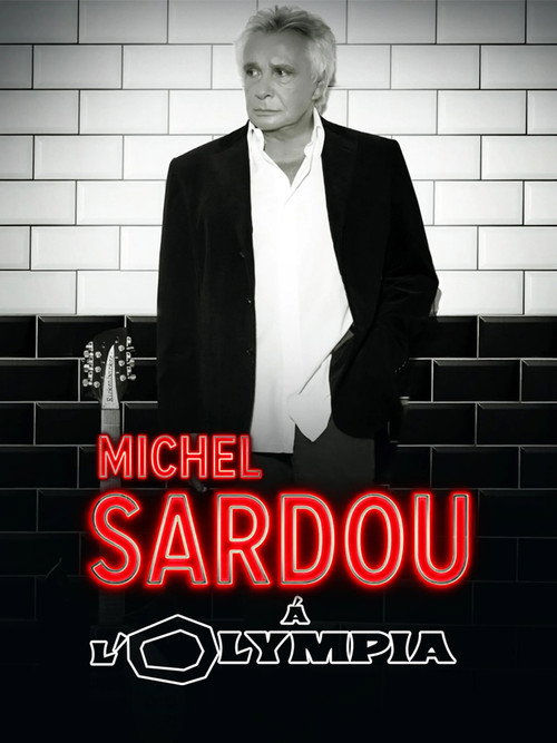 Michel Sardou - Live 2013 poster