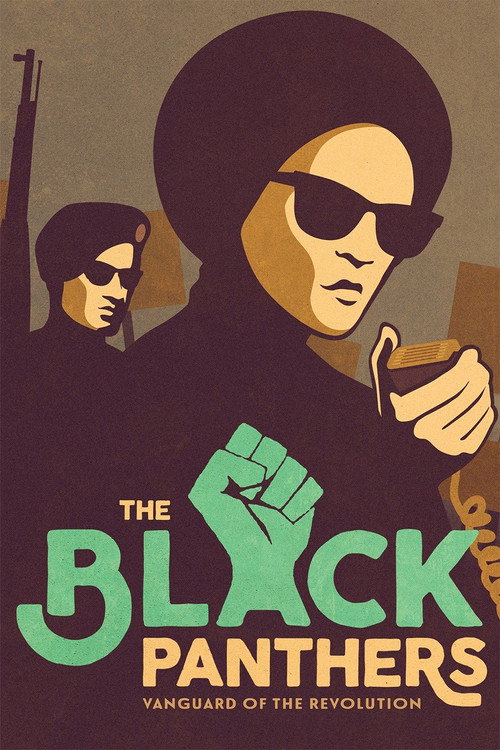 The Black Panthers: Vanguard of the Revolution poster