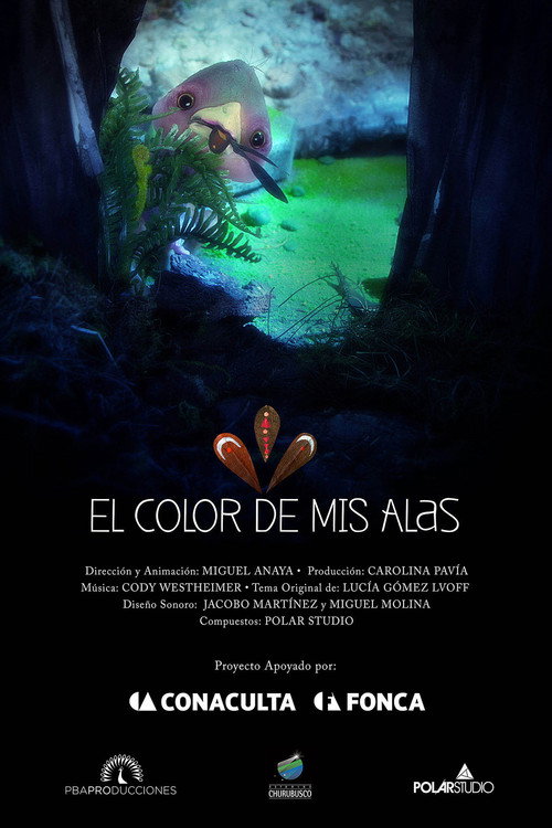 Color of my Wings poster