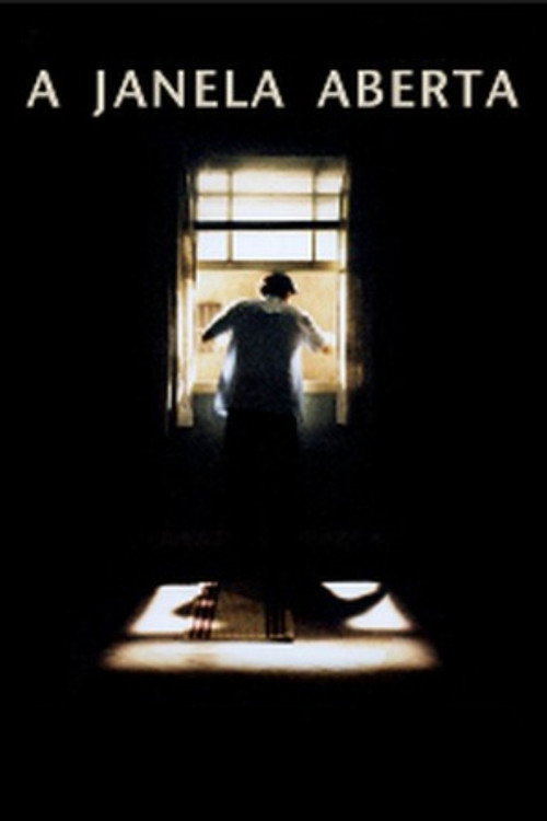 The Open Window poster
