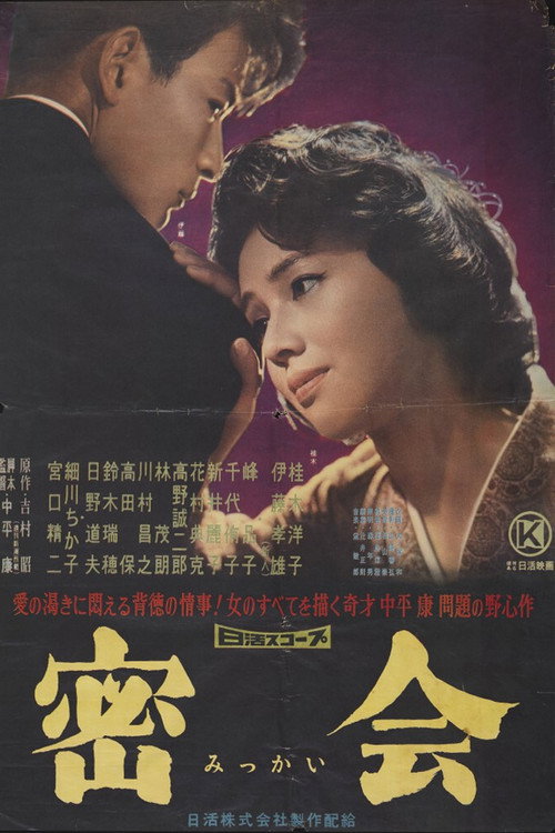 A Secret Rendezvous poster