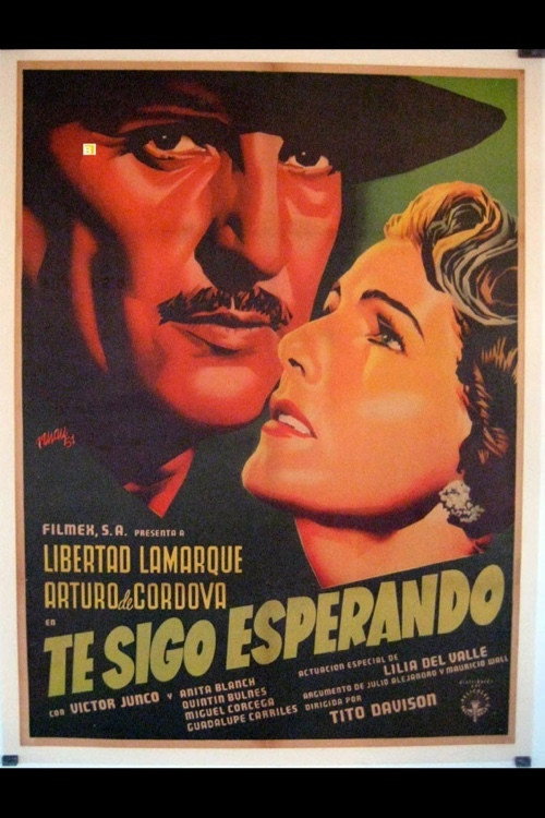 Te Sigo Esperando poster
