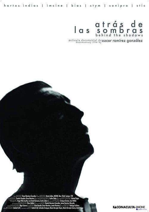In the Shadows poster