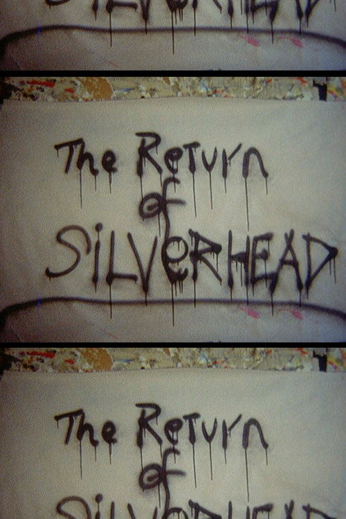 Return of Silver Head poster
