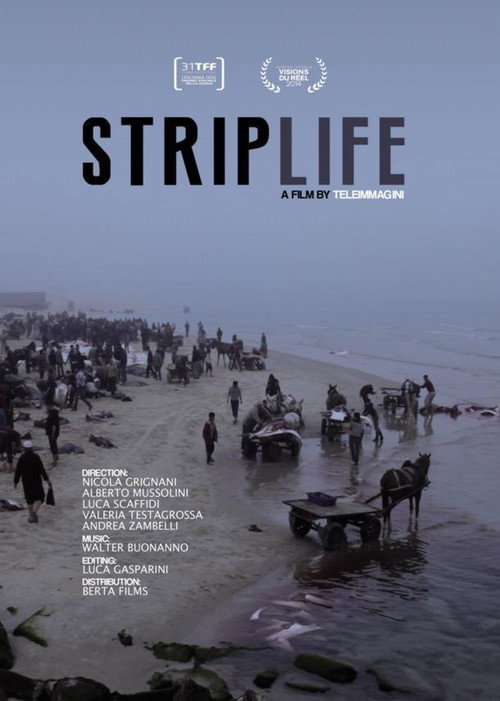 Striplife poster