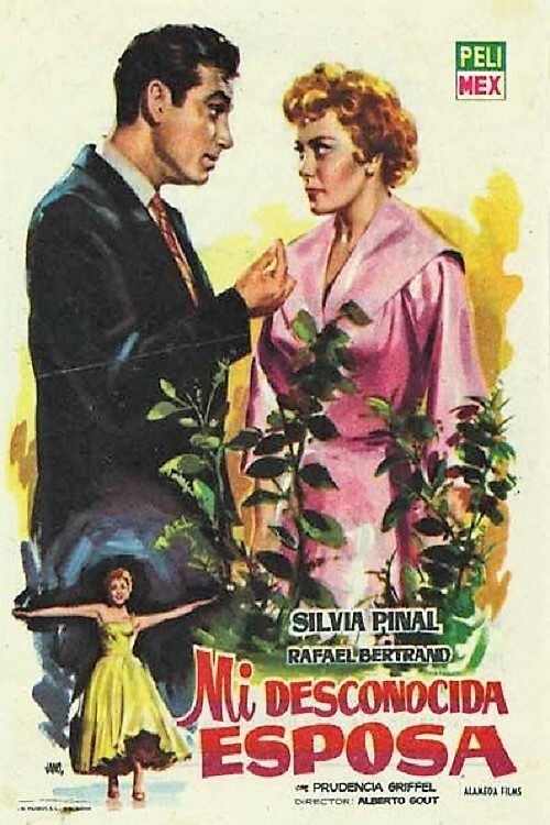 Mi desconocida esposa poster