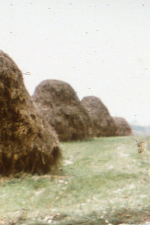 Haystacks poster