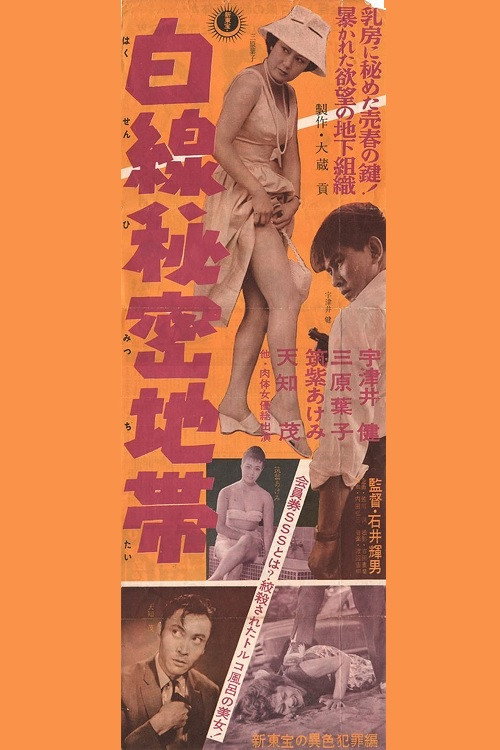 Secret White Line Zone poster