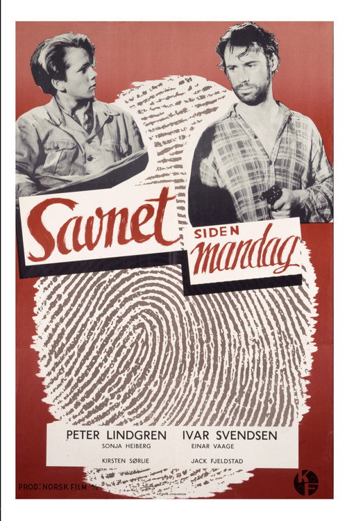 Savnet siden mandag poster
