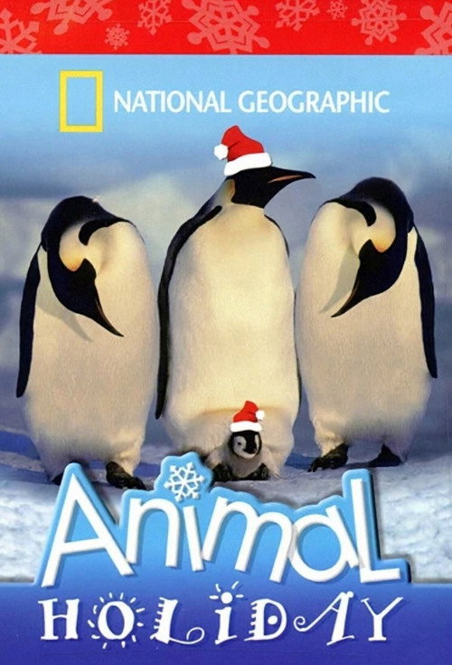 National Geographic - Animal Holiday poster