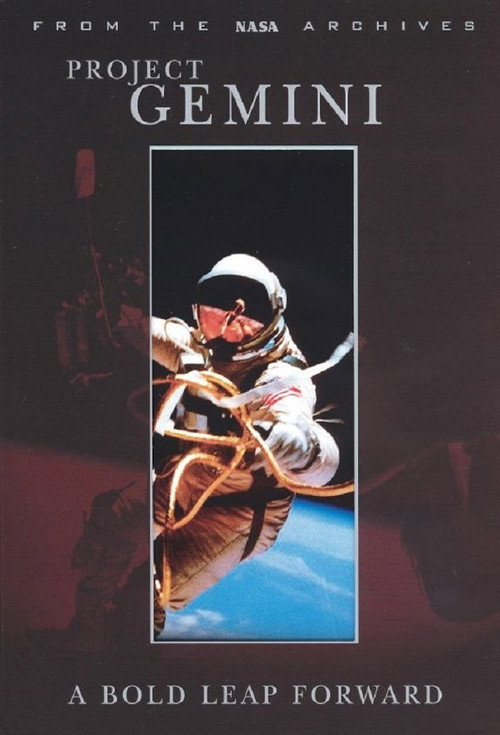 Project Gemini: A Bold Leap Forward poster