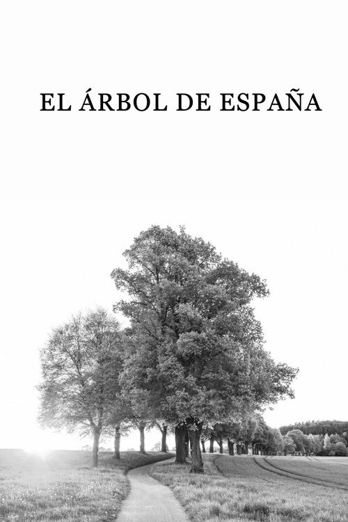 The Tree from Spain poster