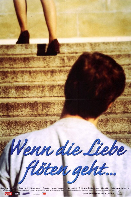 Wenn die Liebe flöten geht poster