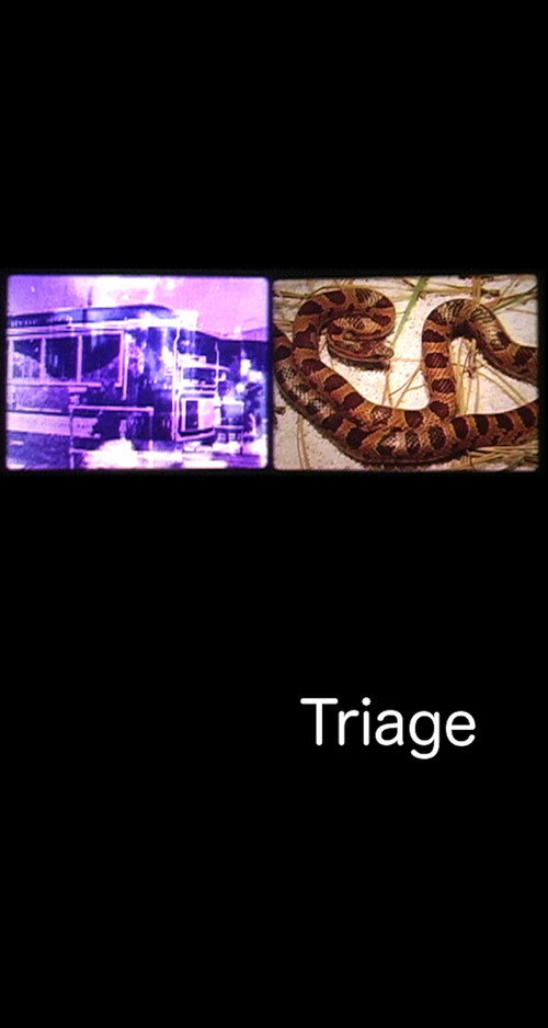 Triage poster