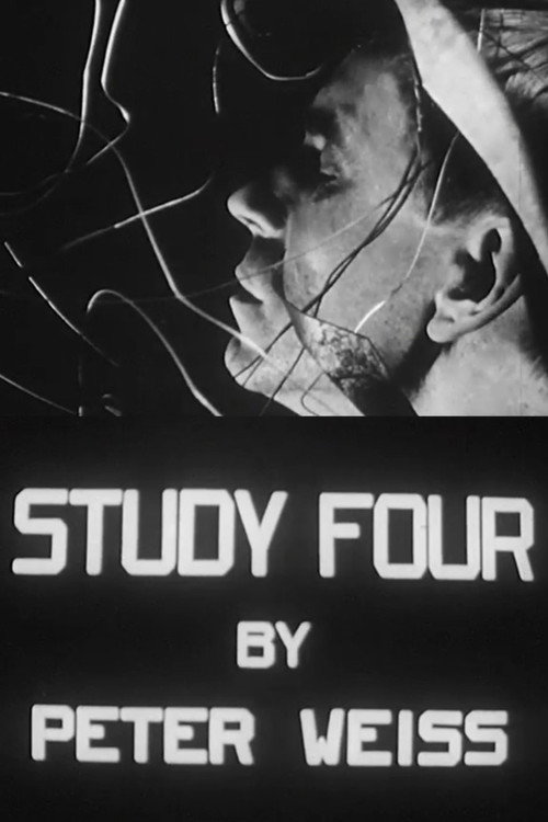 Study IV: Liberation poster