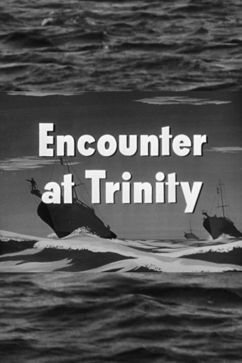 Encounter at Trinity poster
