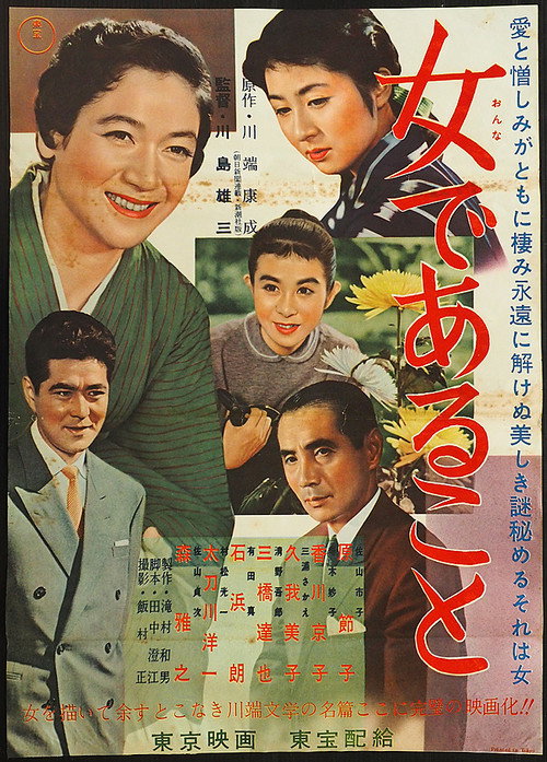 Woman Unveiled poster